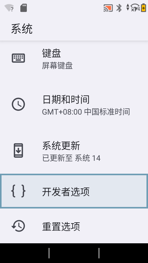开发者选项